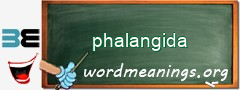 WordMeaning blackboard for phalangida